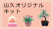 original.webp