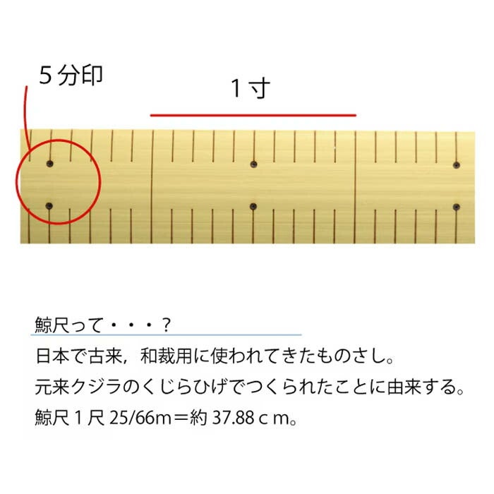竹尺 鯨1尺cm付 普通巾 No.288 両メモリ 鯨尺 物差し ものさし